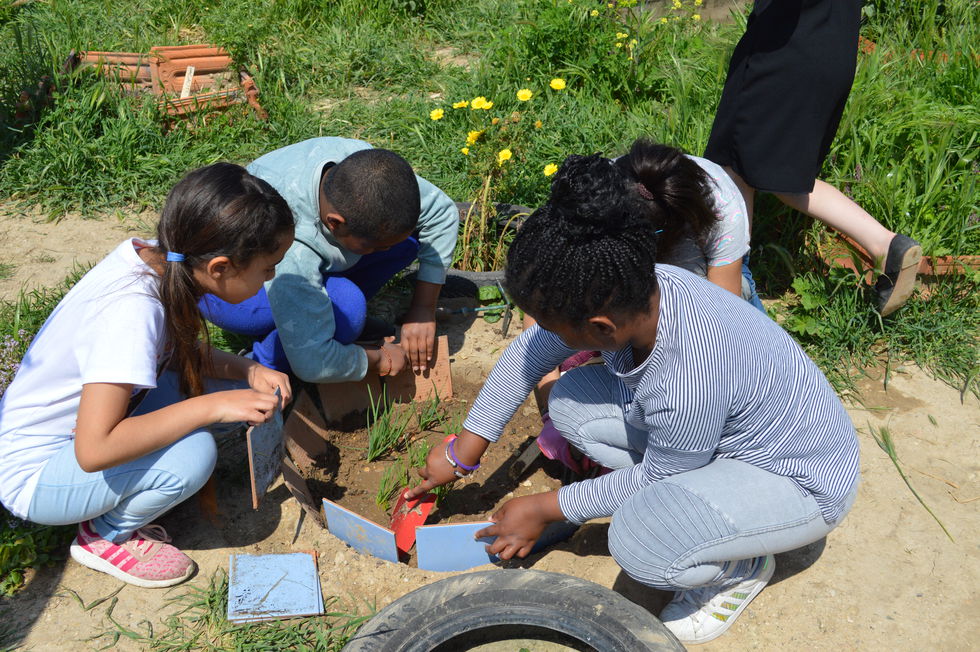 Atelier jardin école les Olives 11