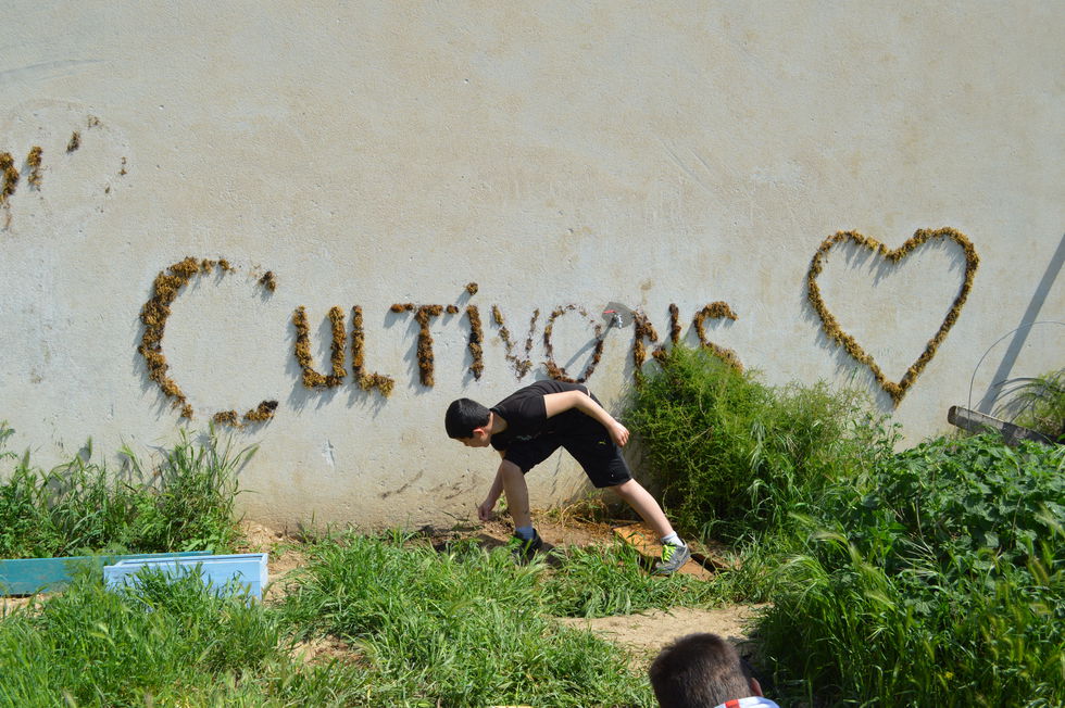 Atelier jardin école les Olives 19