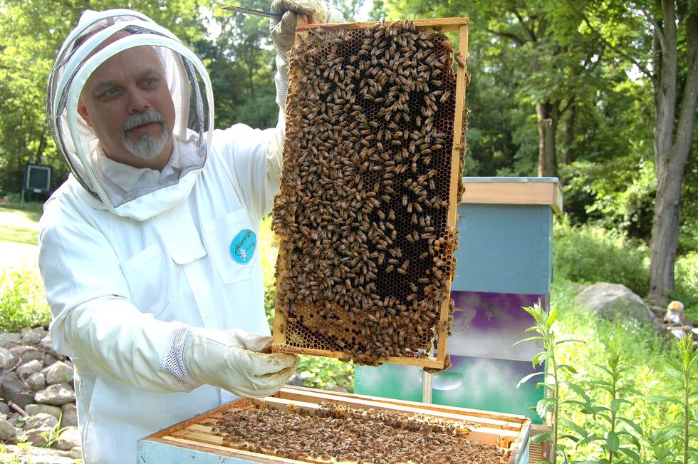 Rencontre des producteurs locaux (apiculteurs…)